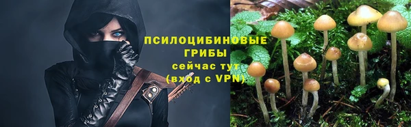 гашиш Белокуриха