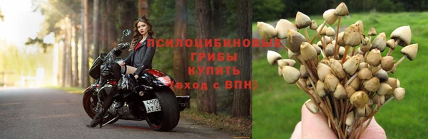 гашиш Белокуриха