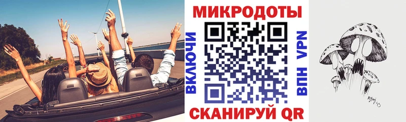 Галлюциногенные грибы Psilocybe  Купить  Шахты 